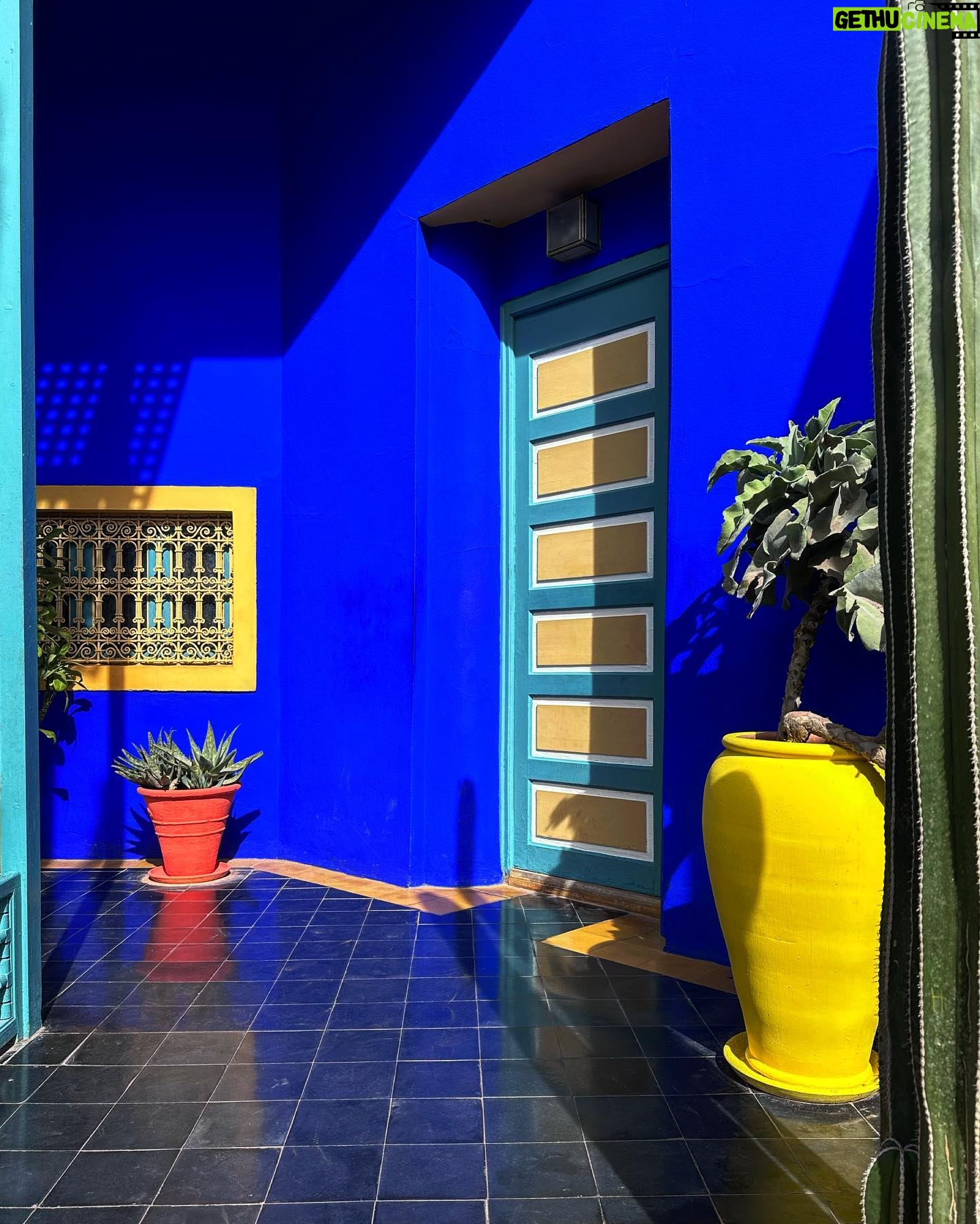 Shirine Boutella Instagram - Marrakech - la jardin majorelle