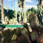 Shirine Boutella Instagram – Marrakech – la jardin majorelle