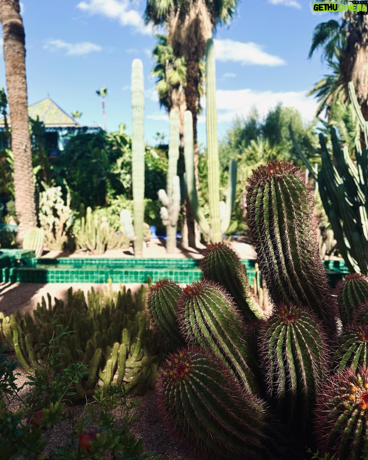 Shirine Boutella Instagram - Marrakech - la jardin majorelle