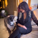 Shohreh Aghdashloo Instagram - Imagine living in a cruelty-free world where all beings are saved from violence. That’s why I’ve been adamant about my hair care products being cruelty-free and vegan. We also refrained from using sulfates, parabens, and other harsh chemicals that would leave the hair dry and damaged and the scalp oily, causing an unhealthy imbalance. Check out @saghdashloobeauty to find out more. 🙏🏼❤️ تصور کنید در یک دنیای بدون ظلم و ستم زندگی می‌کنید که تمام موجودات از خشونت نجات یافته‌اند. به همین دلیل من در مورد محصولات مراقبت از موی خود، بدون ظلم به حیوانات و وگان بسیار مصمم بوده‌ام. ما همچنین از استفاده از سولفات‌ها، پارابن‌ها و دیگر مواد شیمیایی تند که موها را خشک و آسیب دیده و پوست سر را چرب می‌کنند و تعادل ناسالمی ایجاد می‌کنند، خودداری کردیم. برای کسب اطلاعات بیشتر به @saghdashloobeauty مراجعه کنید. #saghdashloobeauty