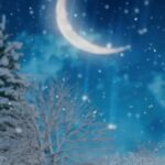 Shohreh Aghdashloo Instagram – I’m wishing all of you a Merry Christmas and beautiful hours with your loved ones. 🙏🎄
Love, Shohreh ❤️