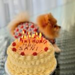 Shorena Begashvili Instagram - HBD Saniiiii - 6 ❤️❤️❤️❤️❤️❤️როგორ მიყვარს ეს პატარა❤️❤️❤️❤️❤️❤️❤️