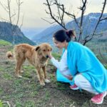 Shraddha Kapoor Instagram - Kiski mazaal hai mujhe pahadon se vaapis le jaye ???