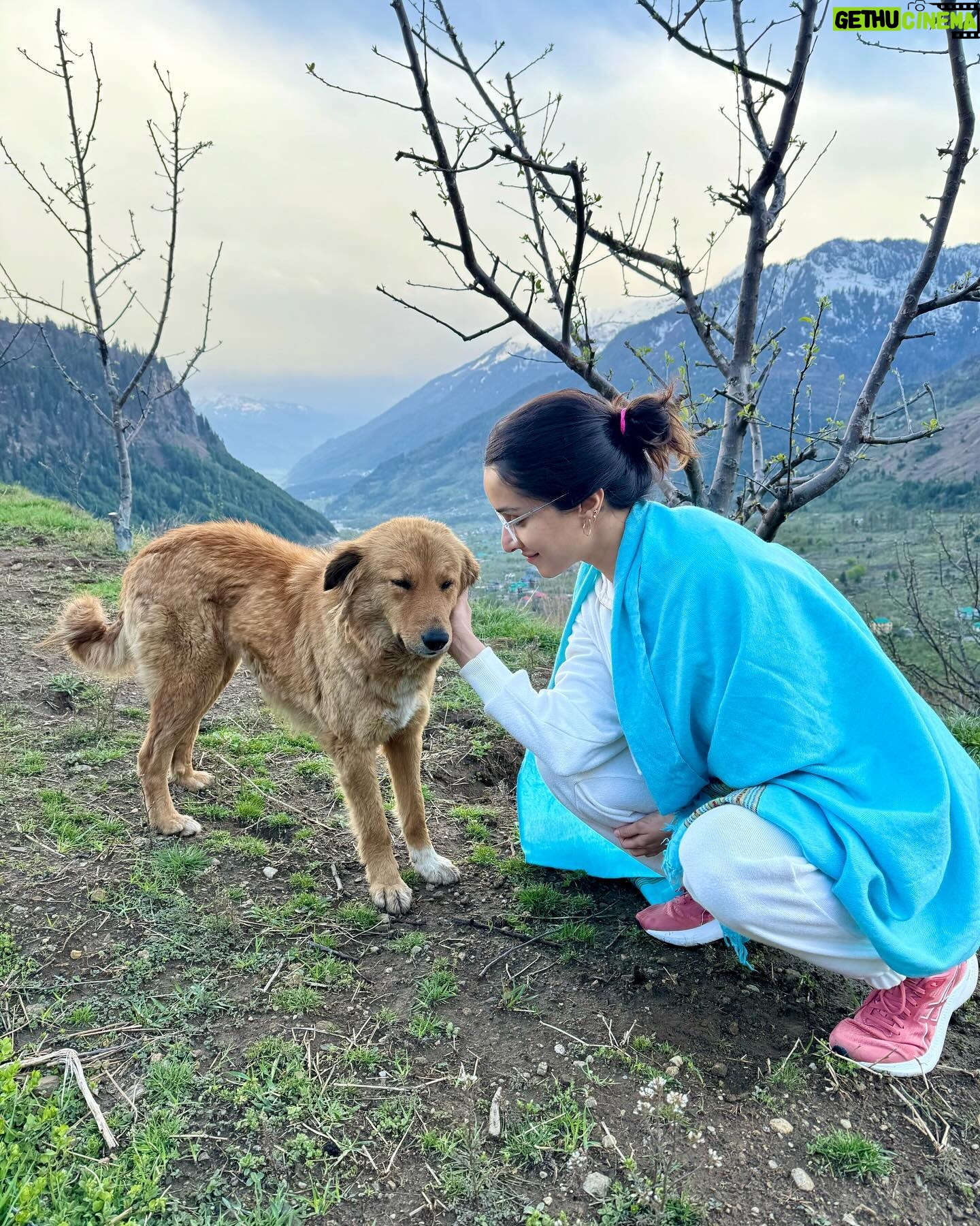 Shraddha Kapoor Instagram - Kiski mazaal hai mujhe pahadon se vaapis le jaye ???