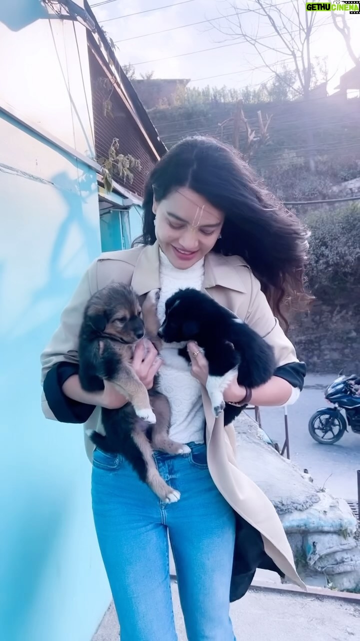 Shristi Shrestha Instagram - Meet ‘Hassi & Khushi’ 🐶 at @grihamrestaurant 💚