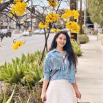 Shristi Shrestha Instagram - Found my yellow back 💫 and it’s brighter than ever ☀️🌻💛🌼🌟✨