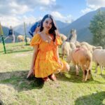 Shristi Shrestha Instagram – 🧡