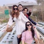Shristi Shrestha Instagram - 🍓🎂✨ Thank you for being this lovely sister/friend/family to us @malinajoshi11 👑 Happy birthday once again :) 💖