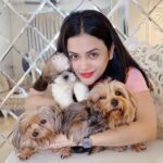 Shrutika Gaokkar Instagram – There is always another chance for everything in life, but the fact is that there is no chance of another life.!

So dream it, live it, love it, enjoy it & stay connected to each other..

#yorkie #shitzu #yorkshire #yorkshireterrier #yorkiesofinstagram #shitzulovers #shitzusofinstagram