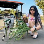 Shrutika Gaokkar Instagram - Feed your cattle only with the best. 😎❤️
