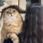 Shu Qi Instagram - 我也想要一頭海藻般的秀髮😊