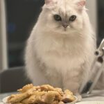 Shu Qi Instagram - 這是我的 瞪我也不能吃🤷‍♀️