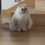 Shu Qi Instagram – 逆子🙃🙃🙃