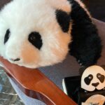Shu Qi Instagram - 花花😍😍😍