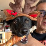 Silvia Abril Instagram - FELIZ CANNIDAD!!!! Y mil gracias a montse y jaume de @naturcenter_animals