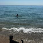 Silvia Abril Instagram - Queda inaugurado el primer baño del año 🌊 Balú está dudando si meterse 🐕🖤