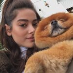 Simay Barlas Instagram - Jager’in evini merak edenler 4. fotoğrafa 🐶🌸🤍