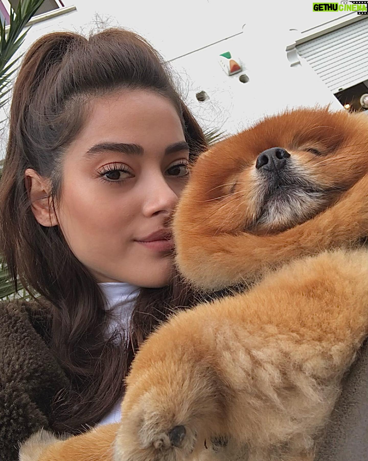 Simay Barlas Instagram - Jager’in evini merak edenler 4. fotoğrafa 🐶🌸🤍