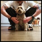 Simon Pegg Instagram - 🤗🍪