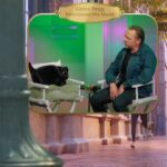 Simon Pegg Instagram - Forget what you know about black cats. In honor of #BlackCatAppreciationDay, step inside one paw at a time and explore more about these furry friends. #Luck __ -Black cat appreciation -Where black cats are lucky -Black cats around the world -@simonpegg interviews his muse -Being Bob -How to draw Bob Follow the cast of #Luck: @livevamaria, @simonpegg,@janefonda, @whoopigoldberg, @flula, @comedianlilrel, @colinodonoghue1, @adelynnspoon