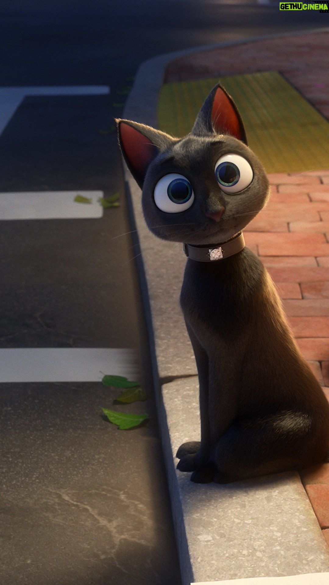 Simon Pegg Instagram - Think black cats are unlucky? Bob will prove you wrong. Stream Luck, exclusively on Apple TV
