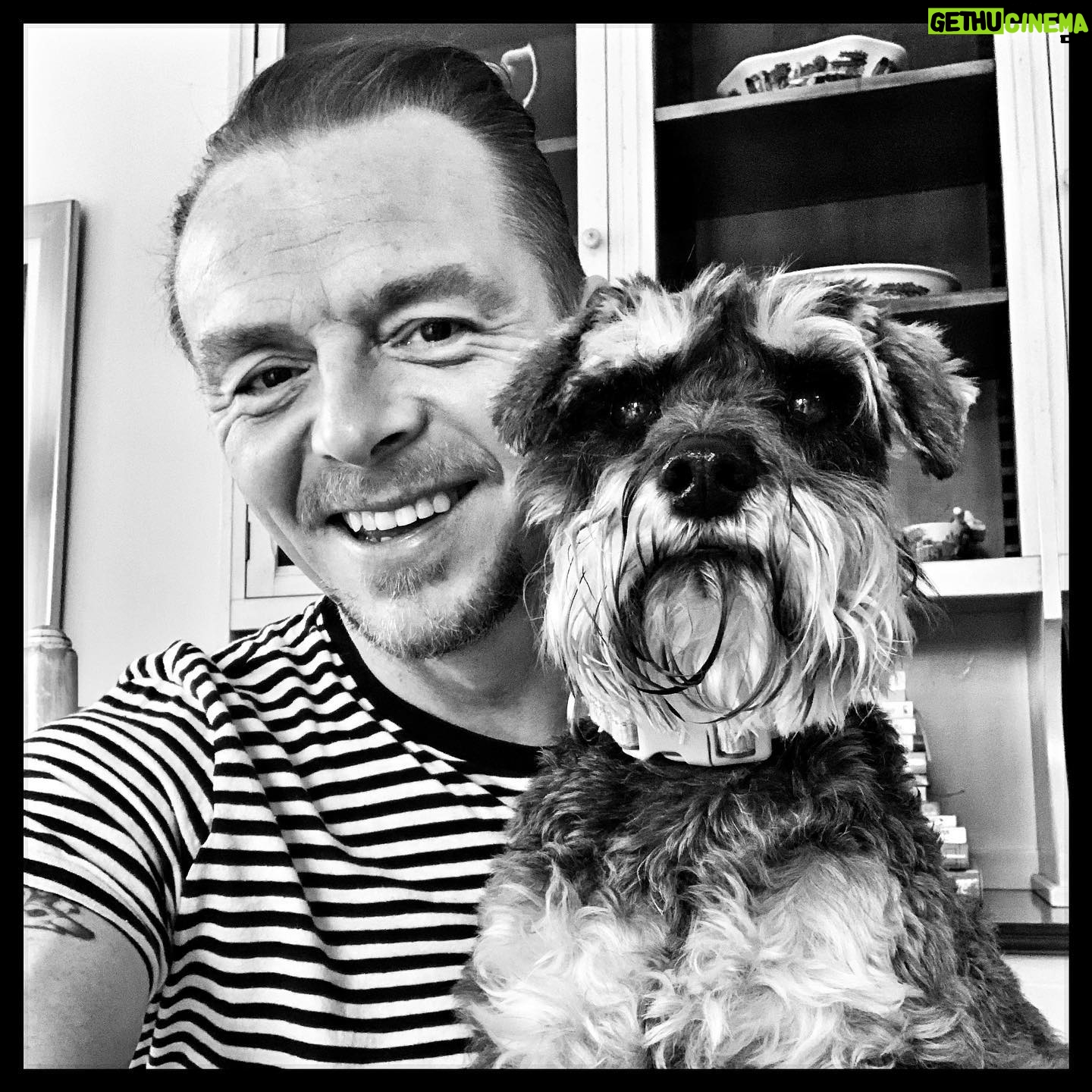 Simon Pegg - 38.4K Likes - Myrtle Pegg ❤️