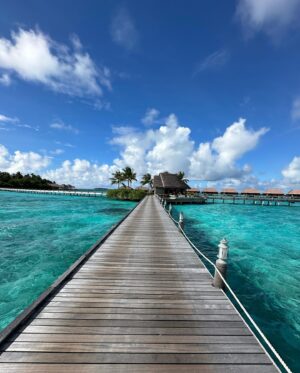 Simone Susinna Instagram - Maldives.

@ayadamaldivesresort