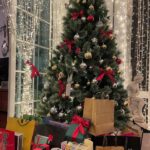 Sirin Preedeeyanon Instagram - The love 🎄🎁💚❤️