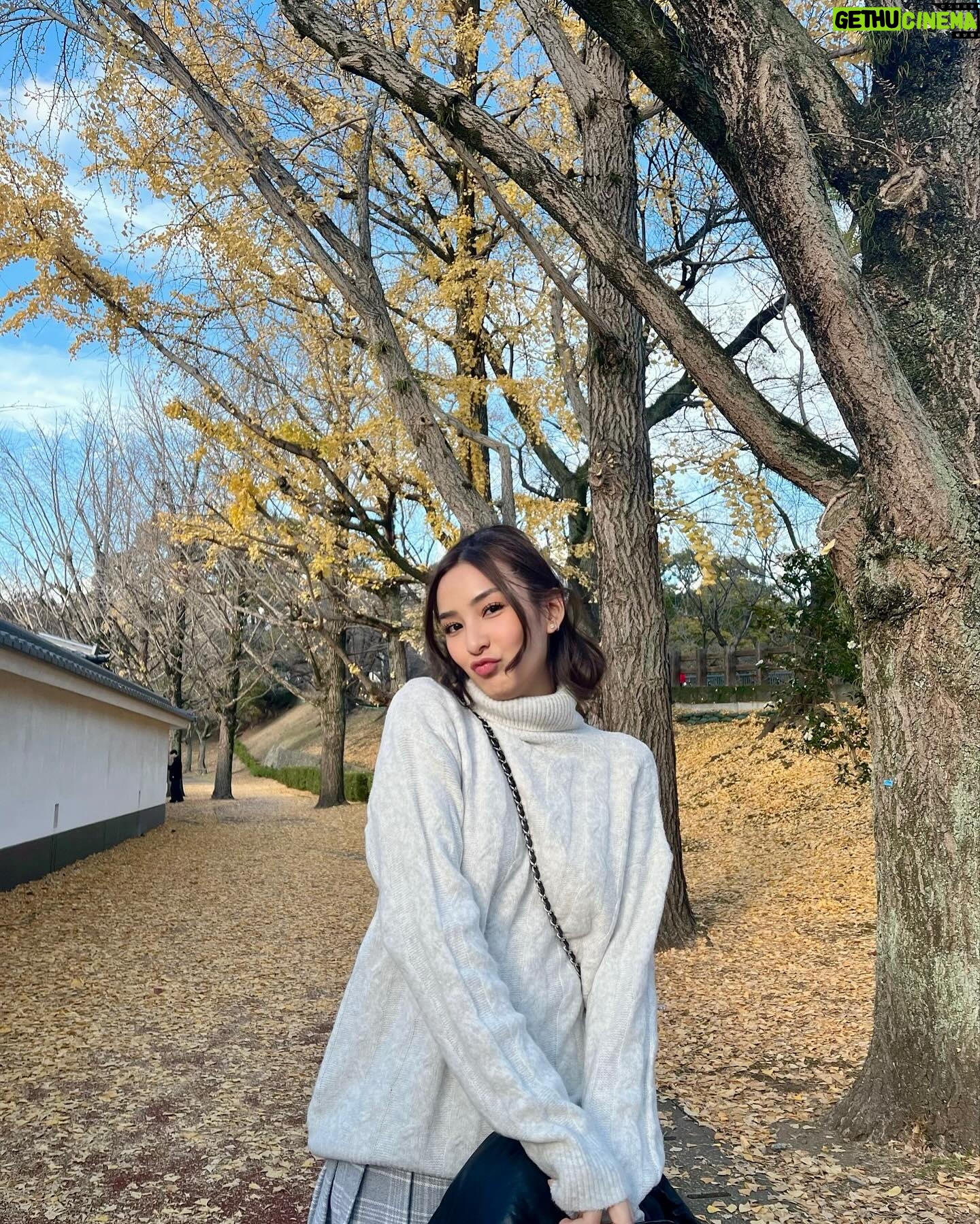 Sirin Preedeeyanon Instagram - Fall🍂