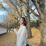 Sirin Preedeeyanon Instagram - Fall🍂