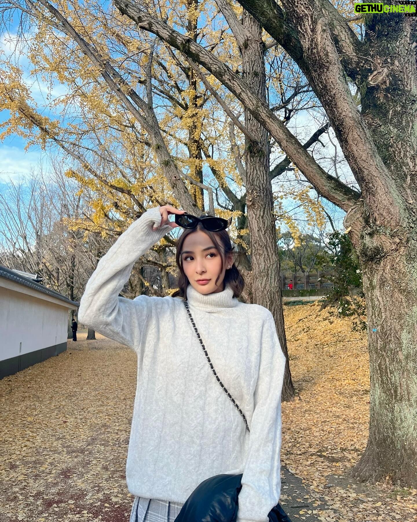 Sirin Preedeeyanon Instagram - Fall🍂