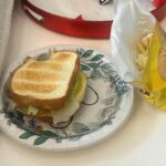 Sissy Sheridan Instagram - sissy’s sandwich recipe: 🥪 2 Slices of toasted white bread Mayo and Honey mustard 2 Turkey slices 1 Provolone cheese slice Lettuce Banana Peppers Lays Potato Chips