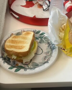 Sissy Sheridan Instagram - sissy’s sandwich recipe: 🥪 
2 Slices of toasted white bread 
Mayo and Honey mustard 
2 Turkey slices 
1 Provolone cheese slice 
Lettuce 
Banana Peppers
Lays Potato Chips