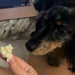 Sissy Sheridan Instagram - this is my june so far
