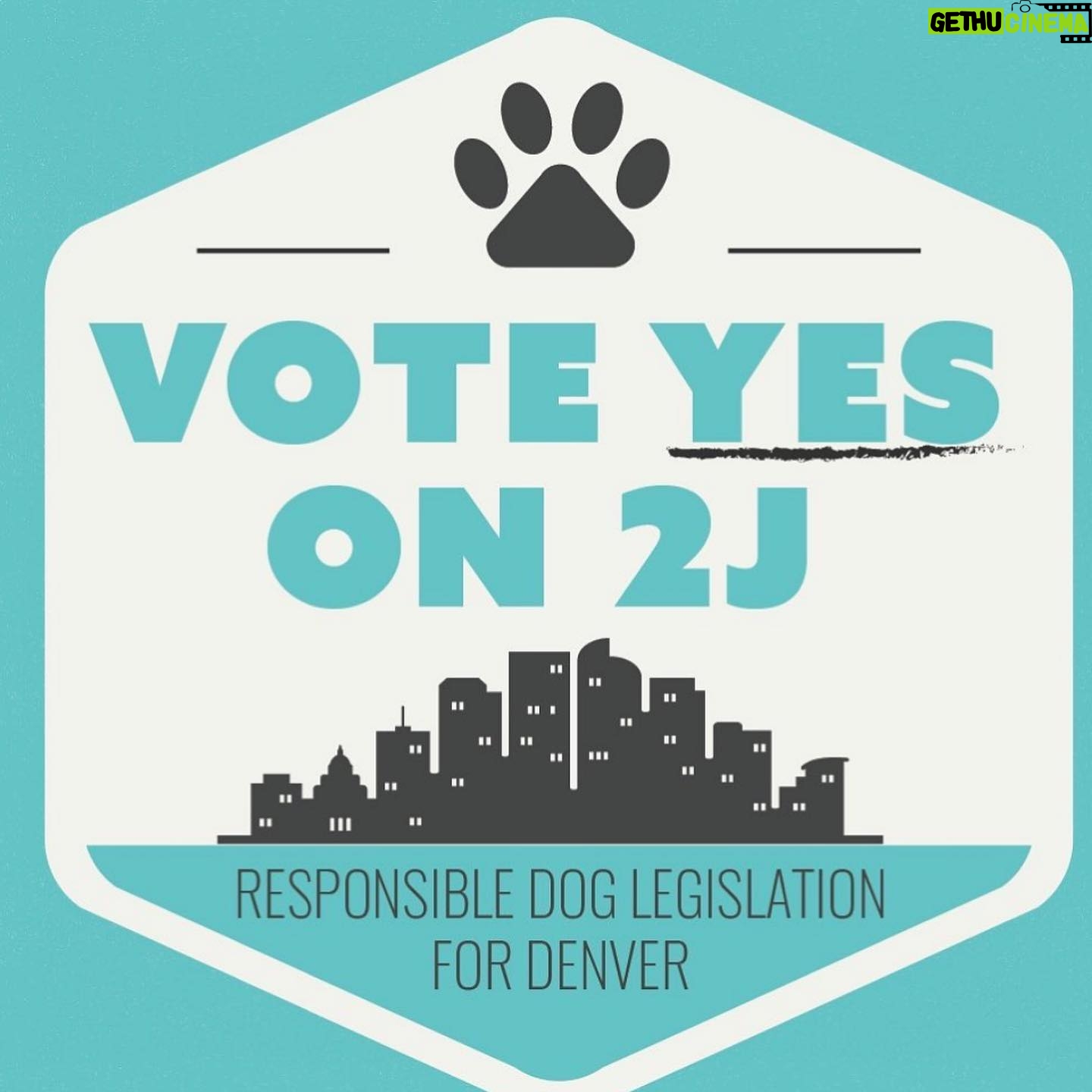Sky Ferreira Instagram - Denver! VOTE YES ON 2J. I’ve lived with pit bulls my entire life. Since the day I was born. All of my dogs were different ages when they were rescued. Some were wildly abused & my dad used to rehabilitate them. Help get rid of the stigma against gentle 🦛🐮🐷 creatures & save lives. BSL is commonly referred to as the “pit bull ban” because it specifically prohibits the ownership of dogs that are thought to be “pit bulls” based on their appearance. The current law mandates that if a dog is declared to be at least 51% “pit bull” based on a visual assessment, it must either be forcibly removed from Denver or killed.💔 VOTE YES @replacedenverbsl Xoxo Lula & I @replacedenverbsl @standupforpitsfoundation @justintheroux @angelcitypits @ipittythebull @billieeilish @fionaappleig