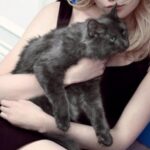 Sky Ferreira Instagram - 🐱Part 2 🐱Lots of cat wrangling. Tons of cat models getting fired. I’m dead serious btw. No cats were harmed (dreams were crushed 💔) @inezandvinoodh @hairbychristiaan @jeaninelobell @brandonmaxwell @gb65 @stephengalloway