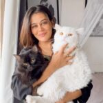 Sneha Gupta Instagram - Just looking like a wow #trending #sundaymood☀️#catsofinstagram #love