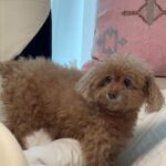 So Joo-yeon Instagram - 국희랑 나랑