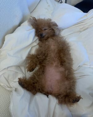 So Joo-yeon Instagram - 비컷과 최국희 🤎