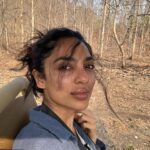 Sobhita Dhulipala Instagram – So..I watched flying peacocks (repeatedly) fornicate at dawn..?
Def recommend 🙂👍🏽