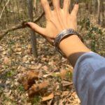 Sobhita Dhulipala Instagram – So..I watched flying peacocks (repeatedly) fornicate at dawn..?
Def recommend 🙂👍🏽