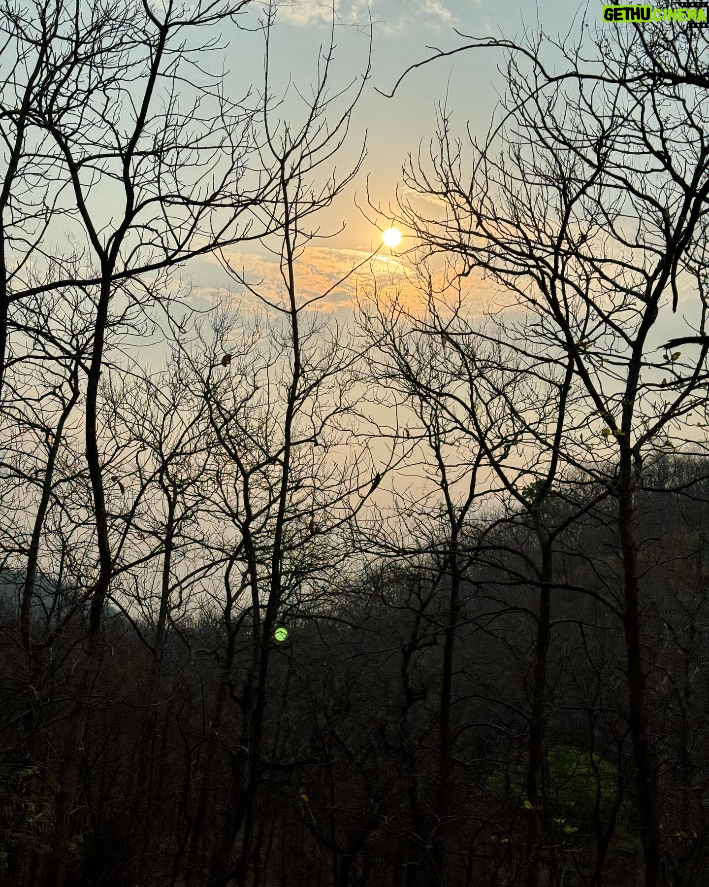 Sobhita Dhulipala Instagram - So..I watched flying peacocks (repeatedly) fornicate at dawn..? Def recommend 🙂👍🏽