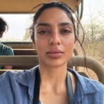 Sobhita Dhulipala Instagram – So..I watched flying peacocks (repeatedly) fornicate at dawn..?
Def recommend 🙂👍🏽
