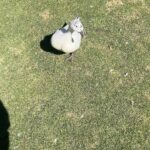 Sofía Niño de Rivera Instagram - Enero y apenas va una semana.