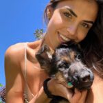 Sofía Suescun Instagram - Seguramente al ver la primera foto lo primero que se te viene a la cabeza es: ‘’qué monos!!!, ayy por favor!!! quiero ese perrito…. Blablabla’’ eso le pasó al perro que veis en la foto 6 y ayer acabó abandonado porque ya ‘no era tan mono’ como de bebé y ya molestaba en casa. Igual pasa con uno de los hermanos pastores alemanes que veis, ha nacido hermafrodita y no se puede vender como el propietario contaba por tanto lo termina abandonando. Esta es la representación de millones de historias en las que cada día cientos de perros son abandonados en nuestro país… Ellos han llegado al mundo para darte un amor incondicional y eterno donde no entra en sus planes abandonarte. Vamos a aprender un poco de estos seres de luz por favor. Antes de adoptar, piensa y cuando lo hagas, descubrirás en tu corazón un rincón especial que te hará mejor persona. En el amor, por supuesto que también queda lugar para segundas oportunidades. Dársela a Greco por favor, ayer fue abandonado pero no sabe que en realidad es lo mejor que le ha pasado porque estoy segura de que no merecía a esa familia. *En la foto 7 y vídeo 8 podéis ver la muñequita con la que le abandonaron para que no se sintiera tan ‘solo’. No queremos nada vuestro gracias 👍 VIDA NUEVA PARA GRECO✨ Ah! Y por supuesto muchísimas gracias a Silvia @happydog_rescates y su labor como rescatista, por personas como tú miles de perros pasan a mejor vida. Si queréis adoptar, ella os explciará el protocolo. Mil gracias y feliz Domingo❤️✨🐶🐾