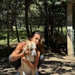 Sofía Suescun Instagram - Seguramente al ver la primera foto lo primero que se te viene a la cabeza es: ‘’qué monos!!!, ayy por favor!!! quiero ese perrito…. Blablabla’’ eso le pasó al perro que veis en la foto 6 y ayer acabó abandonado porque ya ‘no era tan mono’ como de bebé y ya molestaba en casa. Igual pasa con uno de los hermanos pastores alemanes que veis, ha nacido hermafrodita y no se puede vender como el propietario contaba por tanto lo termina abandonando. Esta es la representación de millones de historias en las que cada día cientos de perros son abandonados en nuestro país… Ellos han llegado al mundo para darte un amor incondicional y eterno donde no entra en sus planes abandonarte. Vamos a aprender un poco de estos seres de luz por favor. Antes de adoptar, piensa y cuando lo hagas, descubrirás en tu corazón un rincón especial que te hará mejor persona. En el amor, por supuesto que también queda lugar para segundas oportunidades. Dársela a Greco por favor, ayer fue abandonado pero no sabe que en realidad es lo mejor que le ha pasado porque estoy segura de que no merecía a esa familia. *En la foto 7 y vídeo 8 podéis ver la muñequita con la que le abandonaron para que no se sintiera tan ‘solo’. No queremos nada vuestro gracias 👍 VIDA NUEVA PARA GRECO✨ Ah! Y por supuesto muchísimas gracias a Silvia @happydog_rescates y su labor como rescatista, por personas como tú miles de perros pasan a mejor vida. Si queréis adoptar, ella os explciará el protocolo. Mil gracias y feliz Domingo❤️✨🐶🐾