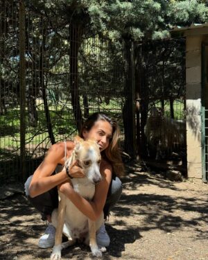 Sofía Suescun Instagram - Seguramente al ver la primera foto lo primero que se te viene a la cabeza es: ‘’qué monos!!!, ayy por favor!!! quiero ese perrito…. Blablabla’’ eso le pasó al perro que veis en la foto 6 y ayer acabó abandonado porque ya ‘no era tan mono’ como de bebé y ya molestaba en casa.
Igual pasa con uno de los hermanos pastores alemanes que veis, ha nacido hermafrodita y no se puede vender como el propietario contaba por tanto lo termina abandonando. 
Esta es la representación de millones de historias en las que cada día cientos de perros son abandonados en nuestro país… 
Ellos han llegado al mundo para darte un amor incondicional y eterno donde no entra en sus planes abandonarte. 
Vamos a aprender un poco de estos seres de luz por favor. Antes de adoptar, piensa y cuando lo hagas, descubrirás en tu corazón un rincón especial que te hará mejor persona.
En el amor, por supuesto que también queda lugar para segundas oportunidades. Dársela a Greco por favor, ayer fue abandonado pero no sabe que en realidad es lo mejor que le ha pasado porque estoy segura de que no merecía a esa familia.
*En la foto 7 y vídeo 8 podéis ver la muñequita con la que le abandonaron para que no se sintiera tan ‘solo’. No queremos nada vuestro gracias 👍 VIDA NUEVA PARA GRECO✨
Ah! Y por supuesto muchísimas gracias a Silvia @happydog_rescates y su labor como rescatista, por personas como tú miles de perros pasan a mejor vida.
Si queréis adoptar, ella os explciará el protocolo.
Mil gracias y feliz Domingo❤️✨🐶🐾