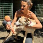 Sofía Suescun Instagram - Seguramente al ver la primera foto lo primero que se te viene a la cabeza es: ‘’qué monos!!!, ayy por favor!!! quiero ese perrito…. Blablabla’’ eso le pasó al perro que veis en la foto 6 y ayer acabó abandonado porque ya ‘no era tan mono’ como de bebé y ya molestaba en casa. Igual pasa con uno de los hermanos pastores alemanes que veis, ha nacido hermafrodita y no se puede vender como el propietario contaba por tanto lo termina abandonando. Esta es la representación de millones de historias en las que cada día cientos de perros son abandonados en nuestro país… Ellos han llegado al mundo para darte un amor incondicional y eterno donde no entra en sus planes abandonarte. Vamos a aprender un poco de estos seres de luz por favor. Antes de adoptar, piensa y cuando lo hagas, descubrirás en tu corazón un rincón especial que te hará mejor persona. En el amor, por supuesto que también queda lugar para segundas oportunidades. Dársela a Greco por favor, ayer fue abandonado pero no sabe que en realidad es lo mejor que le ha pasado porque estoy segura de que no merecía a esa familia. *En la foto 7 y vídeo 8 podéis ver la muñequita con la que le abandonaron para que no se sintiera tan ‘solo’. No queremos nada vuestro gracias 👍 VIDA NUEVA PARA GRECO✨ Ah! Y por supuesto muchísimas gracias a Silvia @happydog_rescates y su labor como rescatista, por personas como tú miles de perros pasan a mejor vida. Si queréis adoptar, ella os explciará el protocolo. Mil gracias y feliz Domingo❤️✨🐶🐾