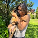 Sofía Suescun Instagram - Seguramente al ver la primera foto lo primero que se te viene a la cabeza es: ‘’qué monos!!!, ayy por favor!!! quiero ese perrito…. Blablabla’’ eso le pasó al perro que veis en la foto 6 y ayer acabó abandonado porque ya ‘no era tan mono’ como de bebé y ya molestaba en casa. Igual pasa con uno de los hermanos pastores alemanes que veis, ha nacido hermafrodita y no se puede vender como el propietario contaba por tanto lo termina abandonando. Esta es la representación de millones de historias en las que cada día cientos de perros son abandonados en nuestro país… Ellos han llegado al mundo para darte un amor incondicional y eterno donde no entra en sus planes abandonarte. Vamos a aprender un poco de estos seres de luz por favor. Antes de adoptar, piensa y cuando lo hagas, descubrirás en tu corazón un rincón especial que te hará mejor persona. En el amor, por supuesto que también queda lugar para segundas oportunidades. Dársela a Greco por favor, ayer fue abandonado pero no sabe que en realidad es lo mejor que le ha pasado porque estoy segura de que no merecía a esa familia. *En la foto 7 y vídeo 8 podéis ver la muñequita con la que le abandonaron para que no se sintiera tan ‘solo’. No queremos nada vuestro gracias 👍 VIDA NUEVA PARA GRECO✨ Ah! Y por supuesto muchísimas gracias a Silvia @happydog_rescates y su labor como rescatista, por personas como tú miles de perros pasan a mejor vida. Si queréis adoptar, ella os explciará el protocolo. Mil gracias y feliz Domingo❤️✨🐶🐾