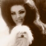 Sofia Coppola Instagram -